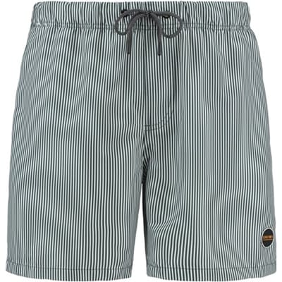 Shiwi Men Swimshort Skinny Stripe Cilantro Green Maat: XXL | Zwembroeken Outlet | Heren | Groen