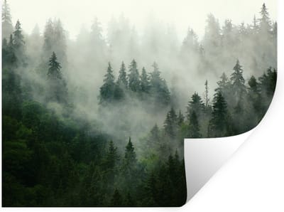 Muurstickers - Sticker Folie - Bos - Mist - Bomen - Natuur - 40x30 cm - Plakfolie - Muurstickers Kinderkamer - Zelfklevend Behang - Zelfklevend behangpapier - Stickerfolie