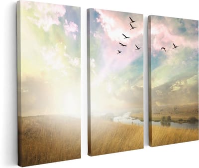 Artaza Canvas Schilderij Drieluik Groep Vogels Vliegen Boven Het Gras - 120x80 - Foto Op Canvas - Canvas Print