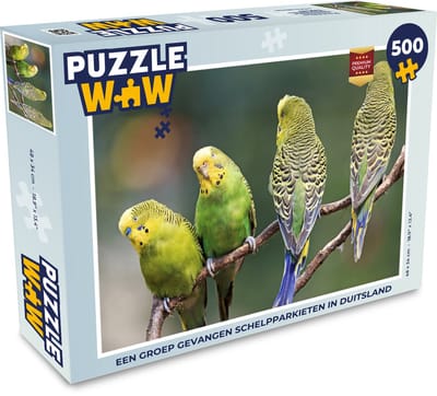Puzzel Een groep gevangen schelpparkieten in Duitsland - Legpuzzel - Puzzel 500 stukjes