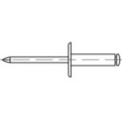 TOOLCRAFT 160145 Open popnagel (Ø x l) 4 mm x 6 mm Aluminium Staal 500 stuk(s)