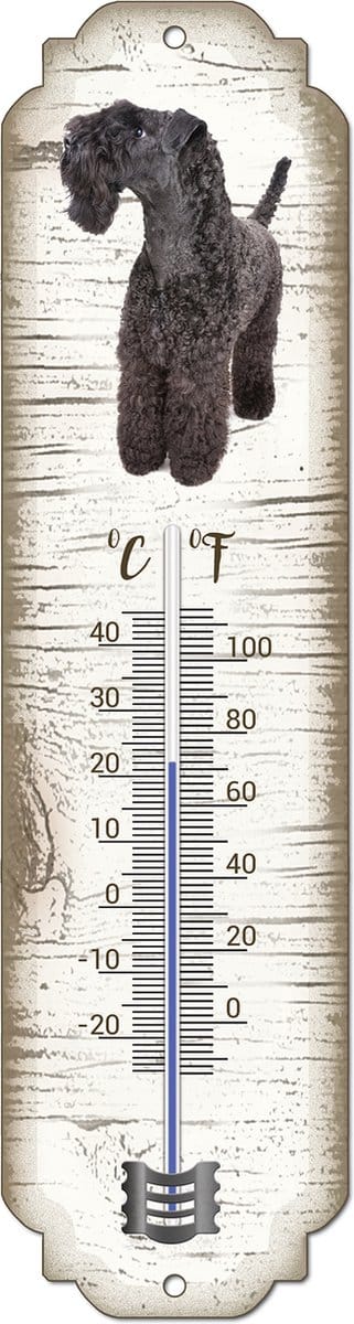 Thermometer: Kerry Blue Terriër | Hondenras | Temperatuur binnen en buiten | -25 tot +45C