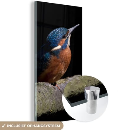 MuchoWow® Glasschilderij 20x40 cm - Schilderij acrylglas - IJsvogel - Tak - Veren - Zwart - Foto op glas - Schilderijen