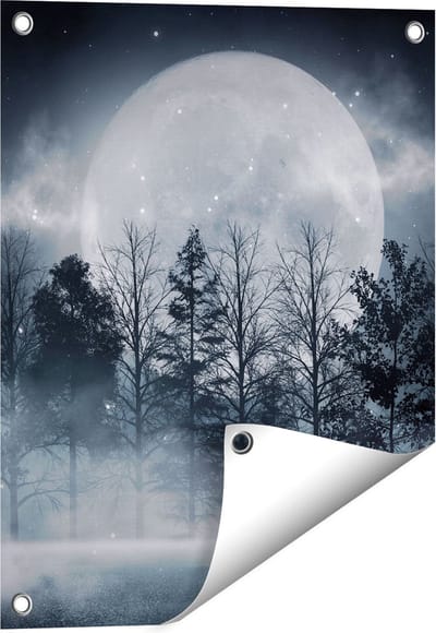 Gards Tuinposter Maan tussen de Bomen in de Nacht - 40x50 cm - Tuindoek - Tuindecoratie - Wanddecoratie buiten - Tuinschilderij