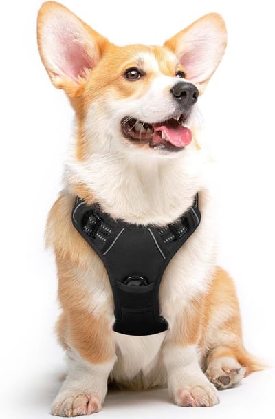 Hondentuig No Pull, Hondenharnas voor Middelgrote Honden, Verstelbare Harnas Hond met Reflecterend Strepen, Gewatteerd Zacht Ademend, Hondentuigje Anti-trek voor Wandelen Training, Zwart M