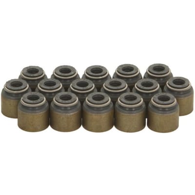 Victor Reinz Pakkingset, klepsteel REINZ 12-10031-01