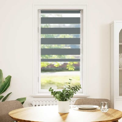 vidaXL - Zebra - rolgordijn - 60x100 - cm - stofbreedte - donkergrijs - 55,9 - cm