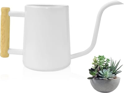 Kleine metalen gietkan van roestvrij staal, 1 liter, ideaal voor binnenplanten en succulenten, perfect voor tuin en huisgebruik