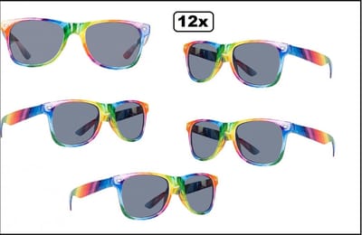12x Luxe Bril Blues brother rainbow - regenboog - Themafeest carnaval pride festival