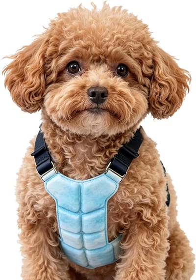 Honden Koelvest - Koelharnas Hond - Hitte Verlichten - Gelgebaseerd Systeem - Verstelbaar - Blauw