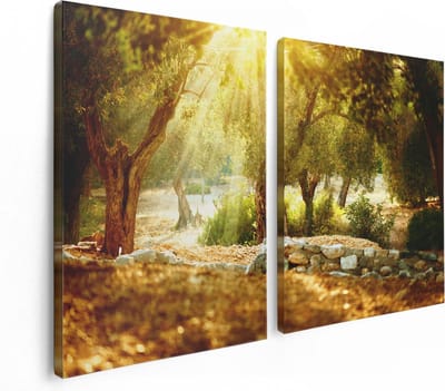 Artaza Canvas Schilderij Tweeluik Olijfbomen - Olijfboomgaard - 120x80 cm - Wanddecoratie Woonkamer - Schilderijen - Muurdecoratie
