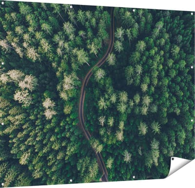 Gards Tuinposter Weg Door Bos met Bomen - Bovenaanzicht - 150x120 cm - Tuindoek - Tuindecoratie - Wanddecoratie buiten - Tuinschilderij