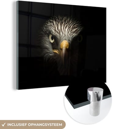MuchoWow® Glasschilderij 160x120 cm - Schilderij acrylglas - Vogel - Adelaar - Roofvogels - Oog - Snavel - Licht - Foto op glas - Schilderijen