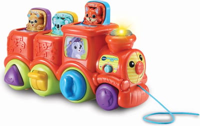 VTech Baby Dierenvriendjes Speelgoed Trein - Interactief & Educatief Babyspeelgoed - Activity-Center - Cadeau - Speelgoed 6 Maanden tot 3 Jaar