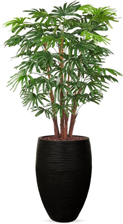 Kunstplant Fortuneipalm in Vaas elegant Deluxe rib zwart H150 cm