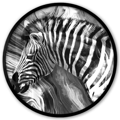 Poster in lijst Rond - Fotolijst 40x40 cm - Posters - Schilderij - Olieverf - Zebra - Dieren - Zwart - Wit - Ronde posterlijst zwart - Decoratie - Wanddecoratie woonkamer - Muurdecoratie slaapkamer