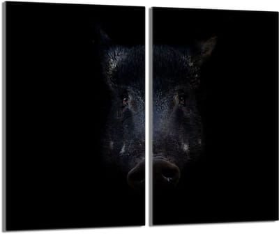 TMK ArtDeko - Beschermplaat voor Fornuis - 2x30x52 - Dzik - Getemperd Glas