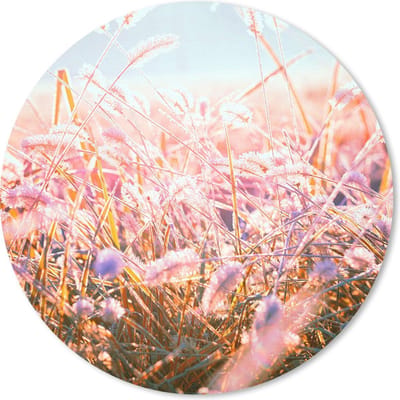 Muismat rond 20x20 cm - Mousepad Winter - Dauw - Ochtend - Ronde muismatten - Kerst - Cadeau - Kerstcadeau voor mannen en voor vrouwen