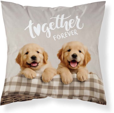 Puppy Sierkussen 40x40cm Hondje Golden Retiever