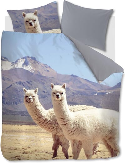 Ambiante Cusco dekbedovertrek - Lits-Jumeaux - 240x200/220 - Multi