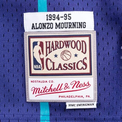 Swingman Basketbal Jersey Charlotte Hornets Alternatief 1994-95 Paars Lila