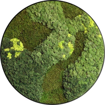 Mosschilderij Noomi - Cirkel 60cm - Kopse zijde zwart
