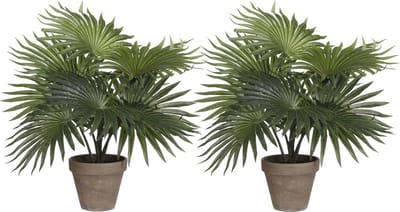 Mica Decorations Palm kunstplant/struik - 2x - groen - H30 x D35 cm - top kwaliteit