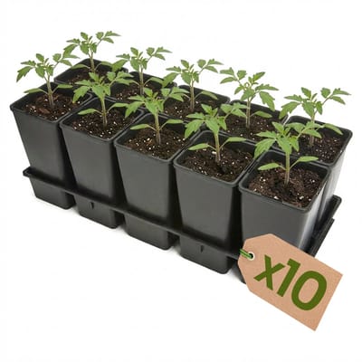 Garronda Set van 10 kweektrays met 10 x 2 L potten GD-KW-T