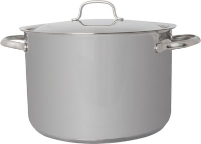 Daily Marmiet Met Deksel D24xh16cm Roestvrij Staal 8l