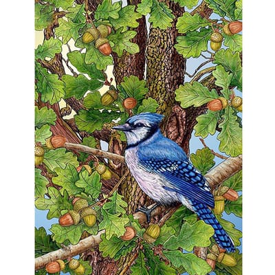 DIY diamant borduurwerk blauwe vogel volledige ronde Diamond schilderij Cross Stitch Kit mozaïek Home Decor 20X30CM black