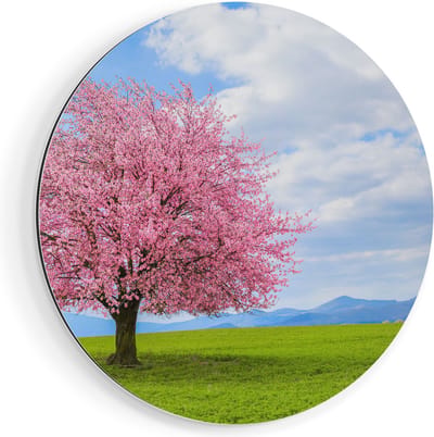 Artaza Dibond Muurcirkel Roze Sakura Bloesem Boom In Het Groene Veld - Ø 40 cm - Klein - Wandcirkel - Rond Schilderij - Voor Binnen en Buiten