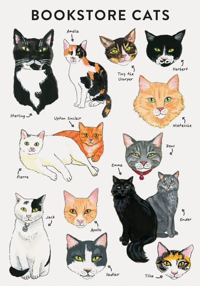 Bibliophile - Bibliophile Flexi Journal: Bookstore Cats