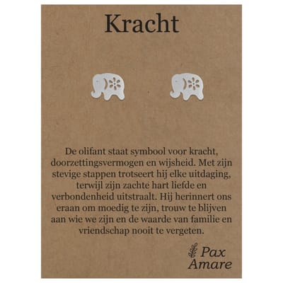 Stainless Steel Olifant Oorbellen op Cadeau Kaartje - Kracht - ± 10x10mm Oorknopjes Zilverkleurig Roestvrij Staal - Pax Amare