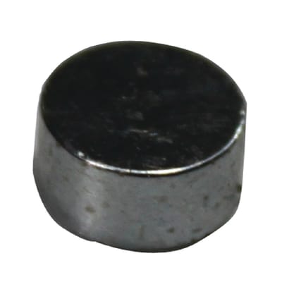 Buffalo Deur Magneet