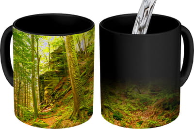 Magische Mok - Foto op Warmte Mokken - Koffiemok - Bomen - Steen - Bos - Natuur - Planten - Magic Mok - Beker - 350 ML - Theemok