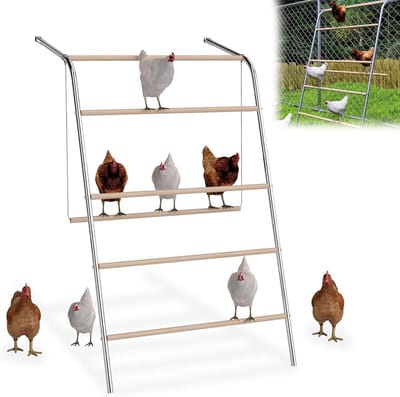 Kippenladder en schommel voor kippen - Speelplaats en zitstokken van hout, accessoires voor kippenschuilplaatsen
