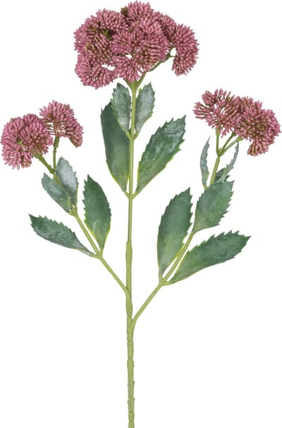 Easyplants | Kunsttak Sedum 48 cm rood | Zijde | Nepbloemen | rood | Onderhoudsvrij | Kant-en-klaar