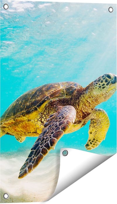 Gards Tuinposter Schildpad Zwemt in de Helder Blauwe Zee - 40x60 cm - Tuindoek - Tuindecoratie - Wanddecoratie buiten - Tuinschilderij