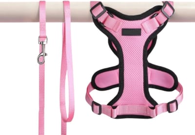 CLVP® Kattenharnas - Kattenrugzak - Roze