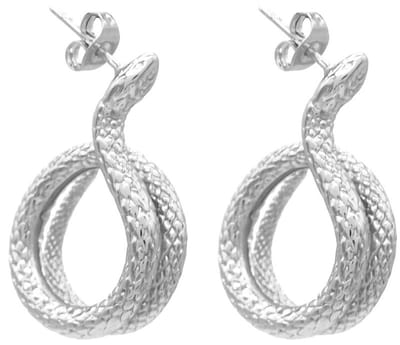 Oorbellen - oorstekers - sieraad - oorsieraad - accessoire - RVS - slang - natuur - jungle - hip - trendy - tijdloos - cadeau - geschenk - verjaardag - feest - feestdagen - vrouwen - dames