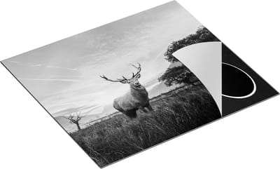 Chefcare Inductie Beschermer Hert in het Landschap - Zwart Wit - 60x50 cm - Afdekplaat Inductie - Kookplaat Beschermer - Inductie Mat