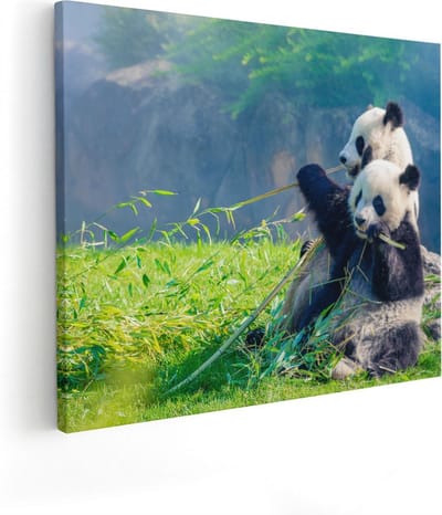 Artaza Canvas Schilderij Panda - 50x40 cm - Wanddecoratie Bos - Muurdecoratie Dierenschilderij - Kamer Accessoires Jungle