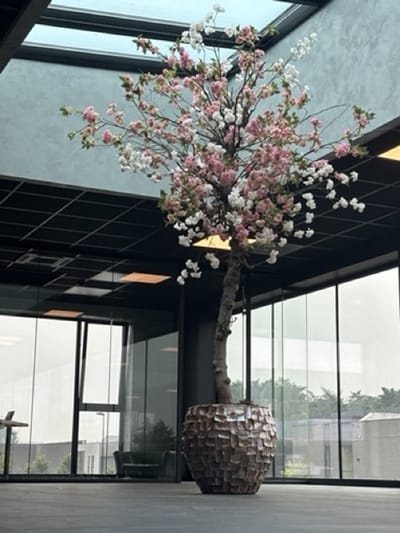 Seta Fiori - Kunst Bloesemboom - Kunstboom - 350cm - roze/creme roze - Voor binnen - Sakura