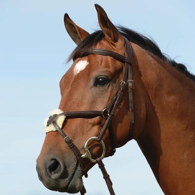 Hoofdstellen met verhoogde vulling in de vorm van een 8 Weatherbeeta Collegiate Syntovia+