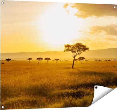 Gards Tuinposter Zonsondergang in de Savanne - 100x80 cm - Tuindoek - Tuindecoratie - Wanddecoratie buiten - Tuinschilderij