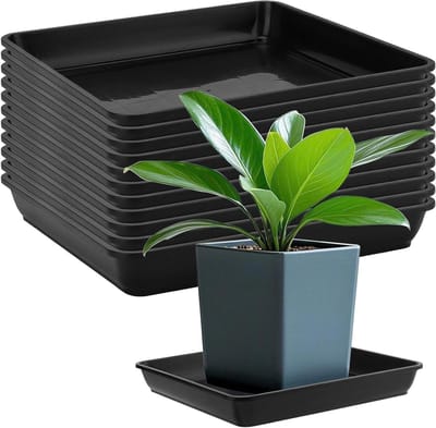 Dailygoods- Plantenpot - Set van 12 - Zwarte Plastic - Vierkante Plantenpotschotels - 29,1 x 4 cm - Overtollig Wateropvang - Geschikt voor Binnen/Buiten - Druppelbak
