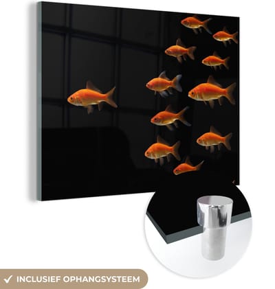 MuchoWow® Glasschilderij 160x120 cm - Schilderij acrylglas - Goudvis - Dieren - Zwart - Foto op glas - Schilderijen