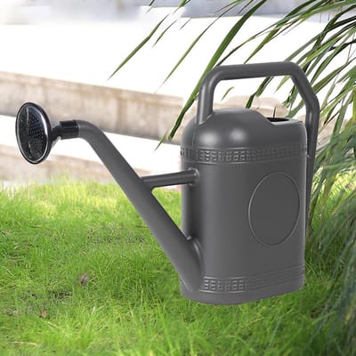 Gieter, 5L Grote Capaciteit Lange Uitloop Tuingieter met Sproeikop voor Buitenplanten (GRAY)