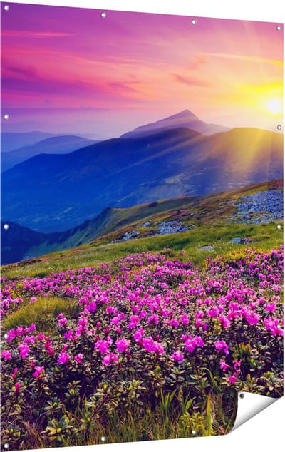 Gards Tuinposter Roze Rhododendron Bloemenveld - Bergen - 120x160 cm - Tuindoek - Tuindecoratie - Wanddecoratie buiten - Tuinschilderij