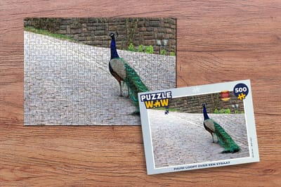 Puzzel Pauw - Veren - Stenen - Legpuzzel - Puzzel 500 stukjes